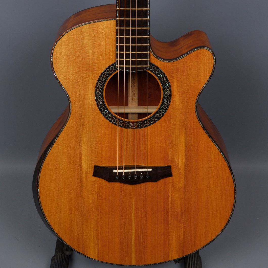 2008 Laurie Williams Tui