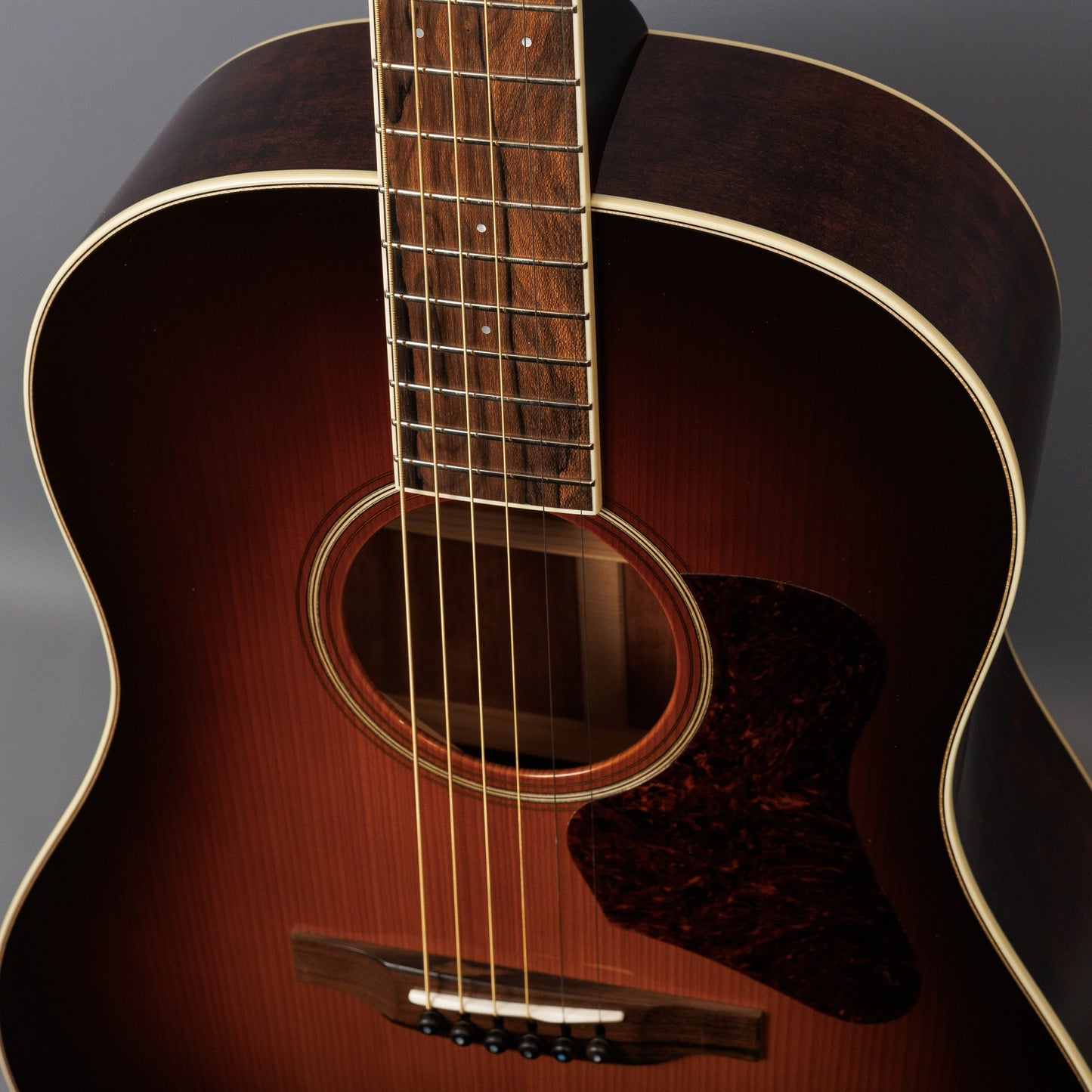 2023 Bourgeois Banjo Killer SD