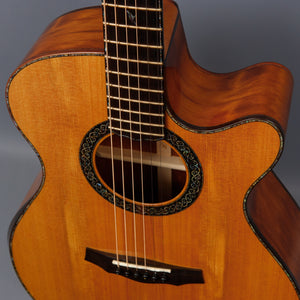 2008 Laurie Williams Tui