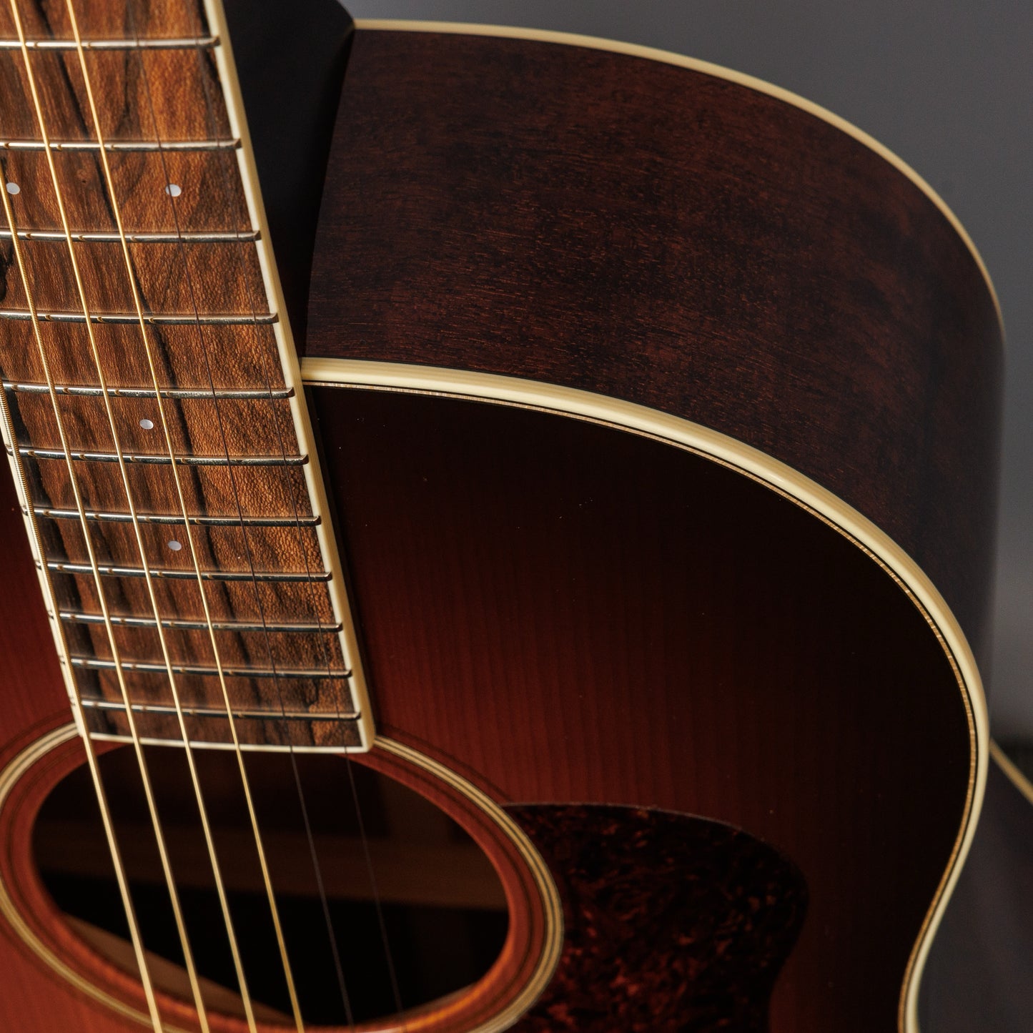 2023 Bourgeois Banjo Killer SD