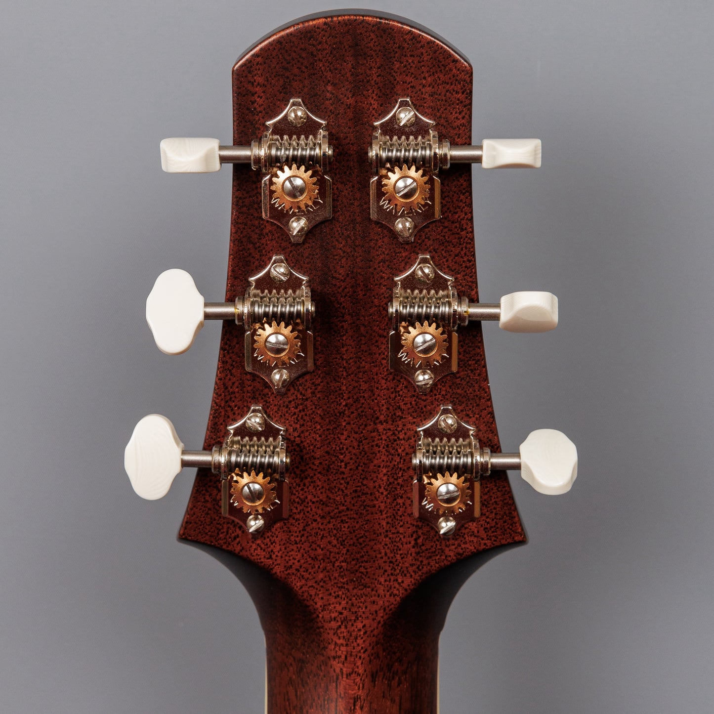 2023 Bourgeois Banjo Killer SD