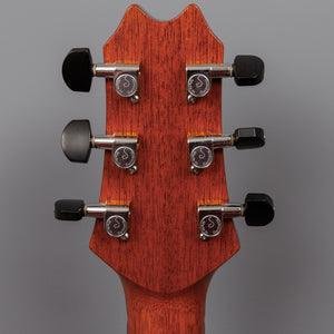 1997 Sheldon Schwartz Custom