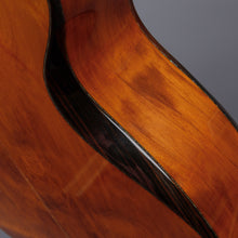2008 Laurie Williams Tui