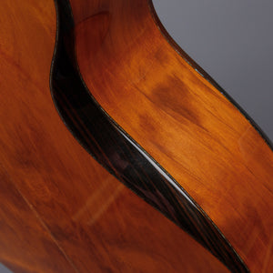 2008 Laurie Williams Tui