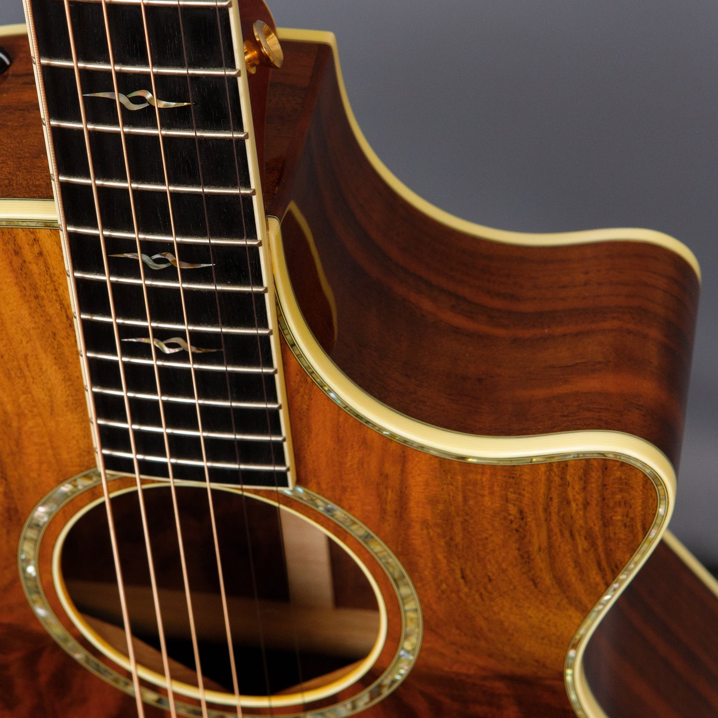 2005 Taylor W12ce