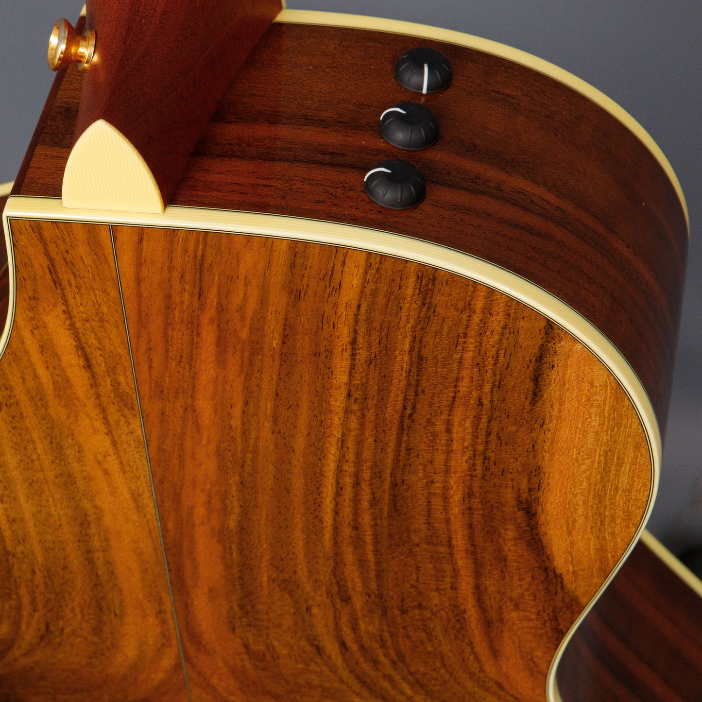 2005 Taylor W12ce
